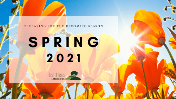 SPRING 2021