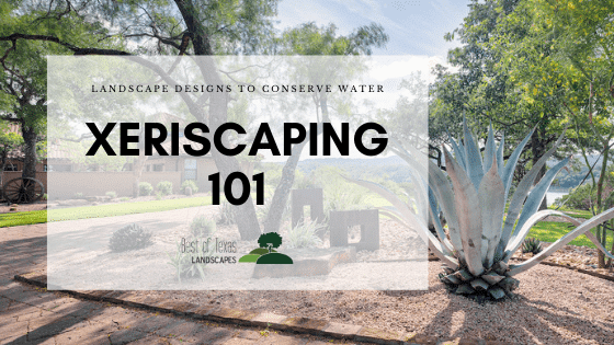 Xeriscaping 101 with Best of Texas Landscapes