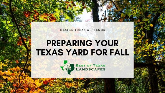 autumn trees in Texas, titled "Design Trends and Ideas: Preparing Your Texas Yard for Fall" by Best of Texas Landscapes