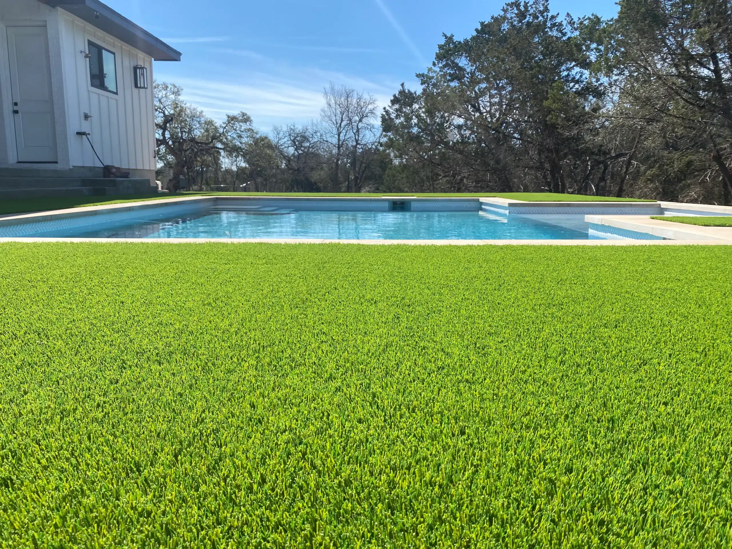 backyard pool surrounded by turf