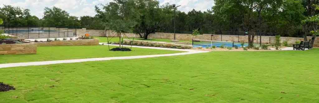 new sod and grass installation for backyard poolside in Georgetown by Best of Texas Landscape