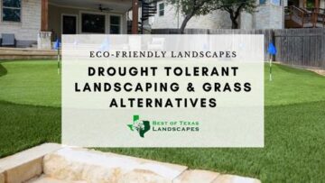 graphic with turf in background and text overlay that reads, Eco-Friendly Landscapes: Drought tolerant Landscaping and Grass Alternatives