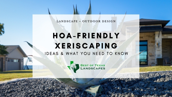 cover art for blog with Agave plant in the background and text overlay that reads, HOA Friendly Xeriscaping: Ideas and What You Need to Know