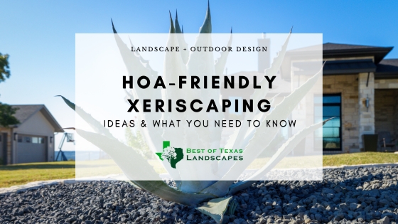 HOA-Friendly Xeriscaping: Ideas and What You Need to Know